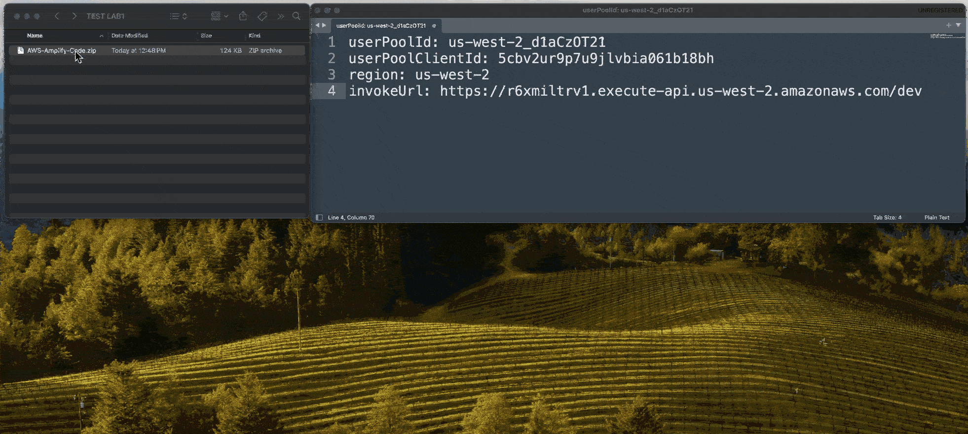 Extract Update Config File