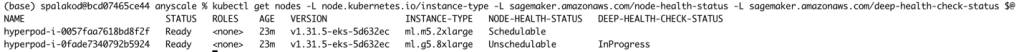 Terminal view of Kubernetes nodes health check showing two ml.g5 instances with differing scheduling statuses