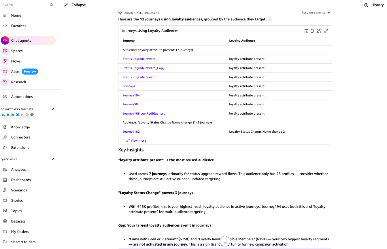 Table of journeys referencing loyalty audiences with audience name, loyalty attribute, and pattern analysis