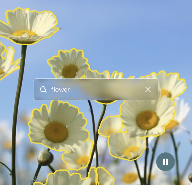 SAM 3 segmentation masks overlaid on a photo of flowers