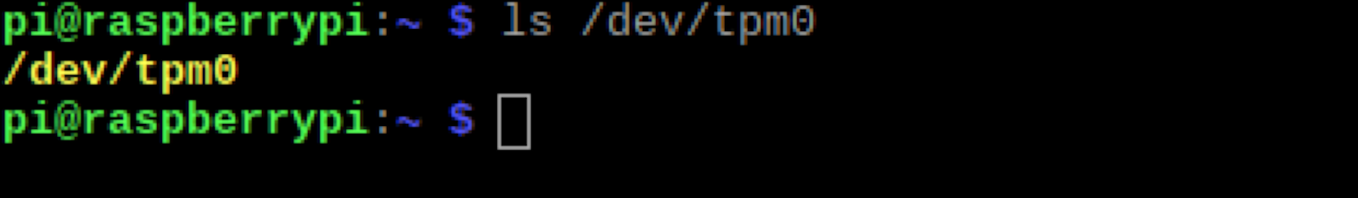 Quick check to verify if TPM is recognized.