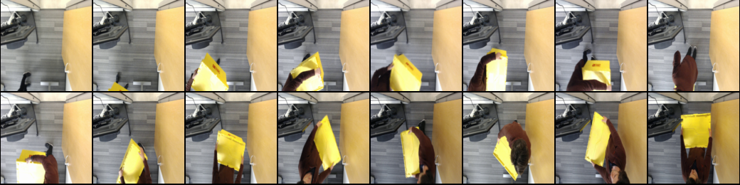 16 frames of a video sampled 1 out of every 10 frames