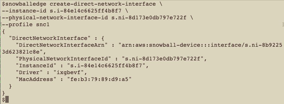 Figure 3: SnowconeEdge CLI used to set up a Direct Network Interface (DNI)