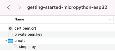 Folder and file structure window