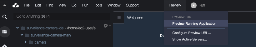 Preview Running Application