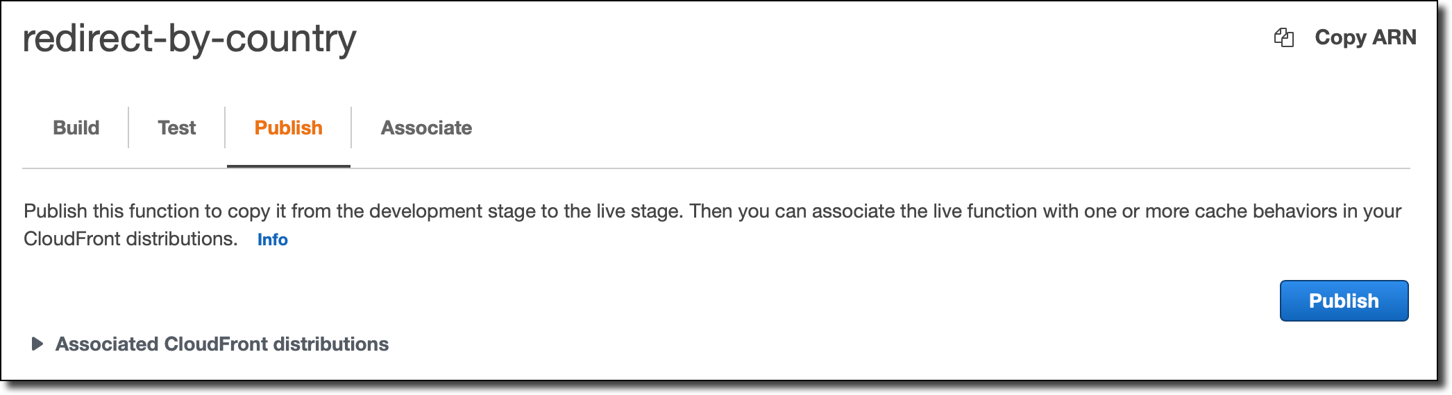 Скриншот консоли: вкладка Publish