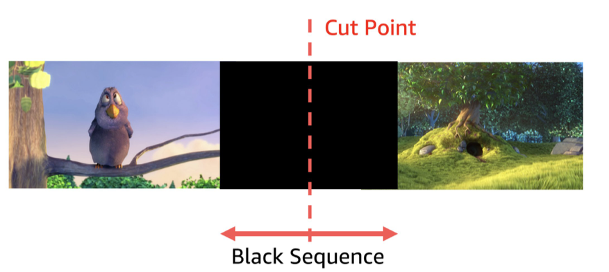 Black frames detection