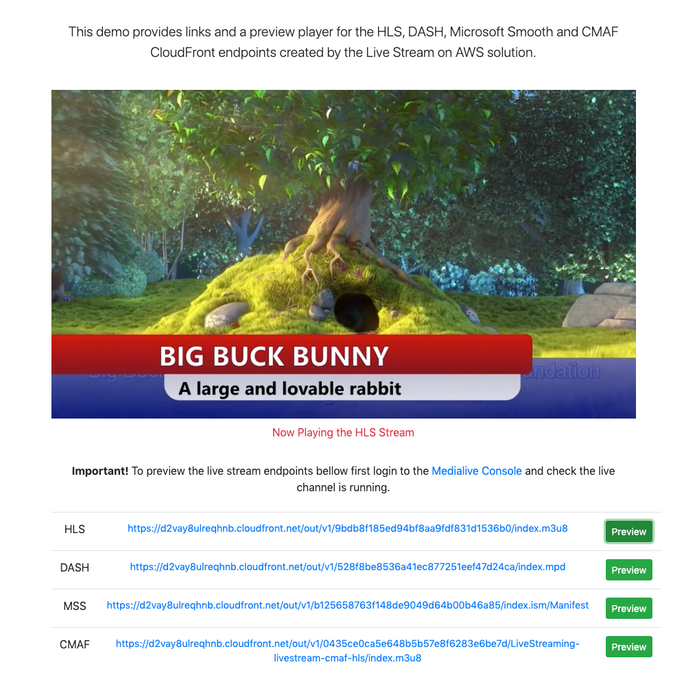 Image showing successful live stream on CloudFront web distribution