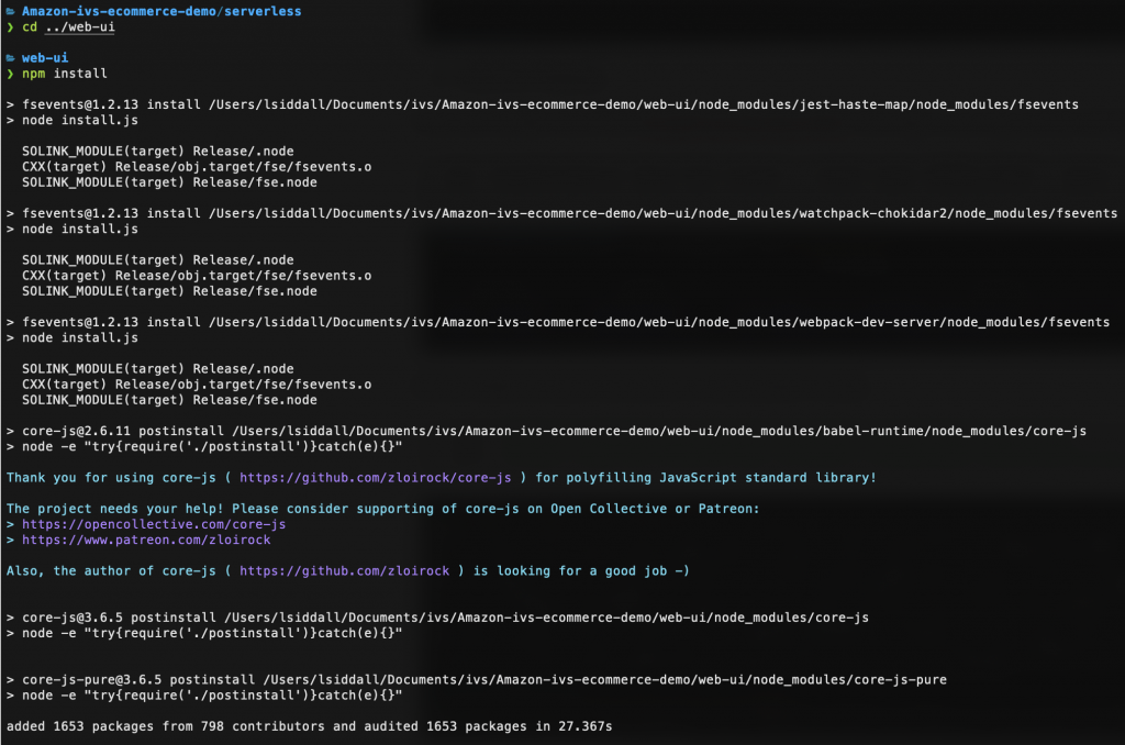 Command Line Interface demonstrating NPM install command