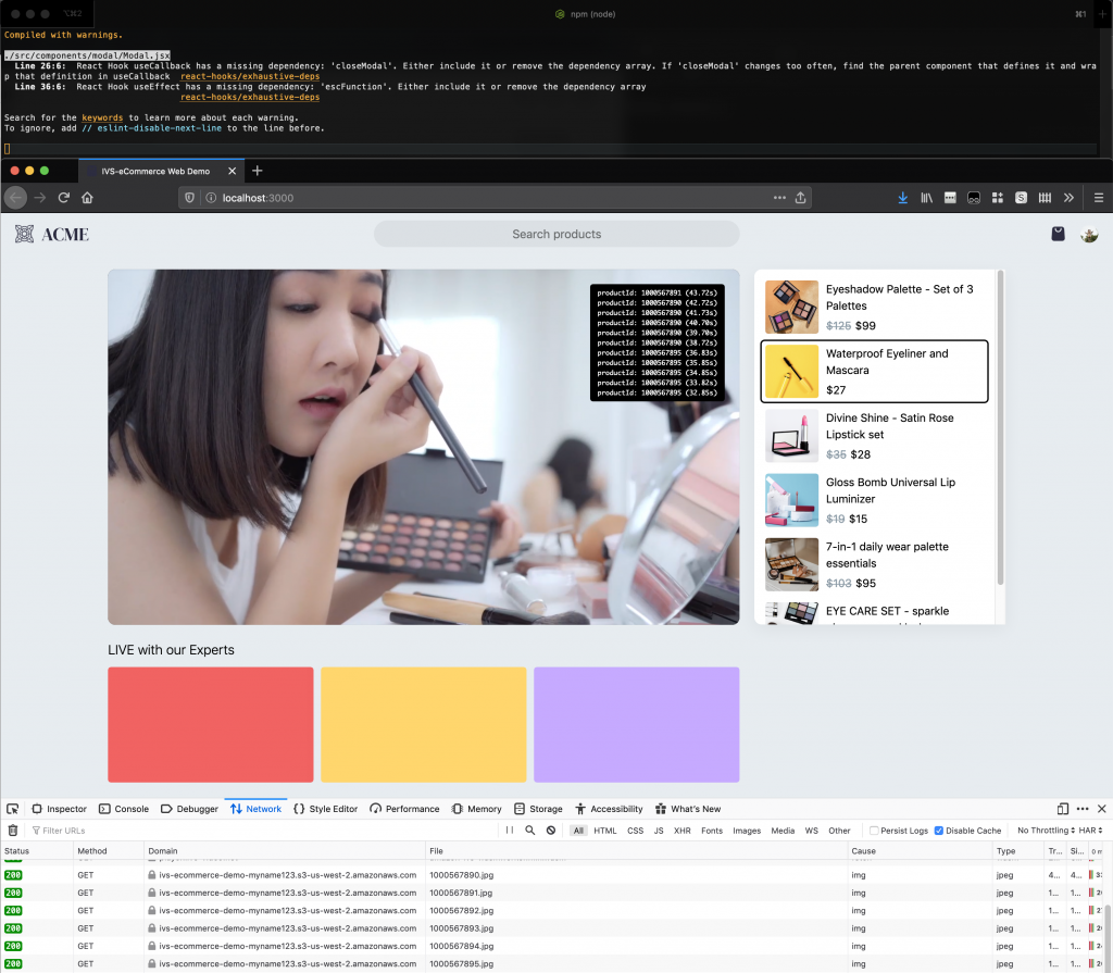 Command Line Interface demonstrating NPM start command with Web brower showing the interface of the demo.