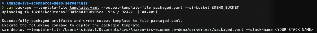 Command Line Interface demonstrating SAM package command
