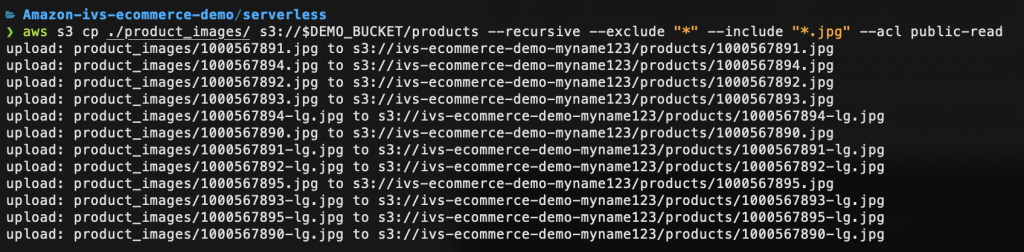 Command Line Interface demonstrating AWS CLI S3 Copy command