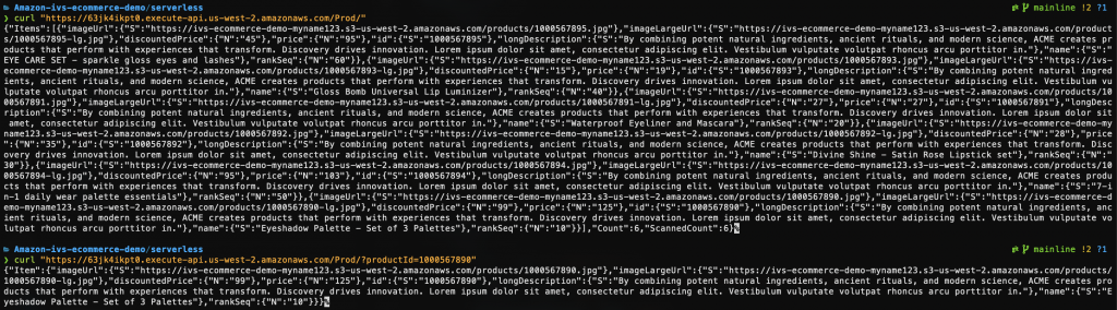 Command Line Interface demonstrating CURL command to test Gateway API Endpoints