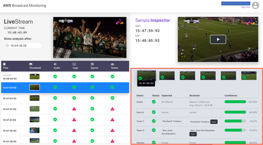 Web application view with check results for video segment frame