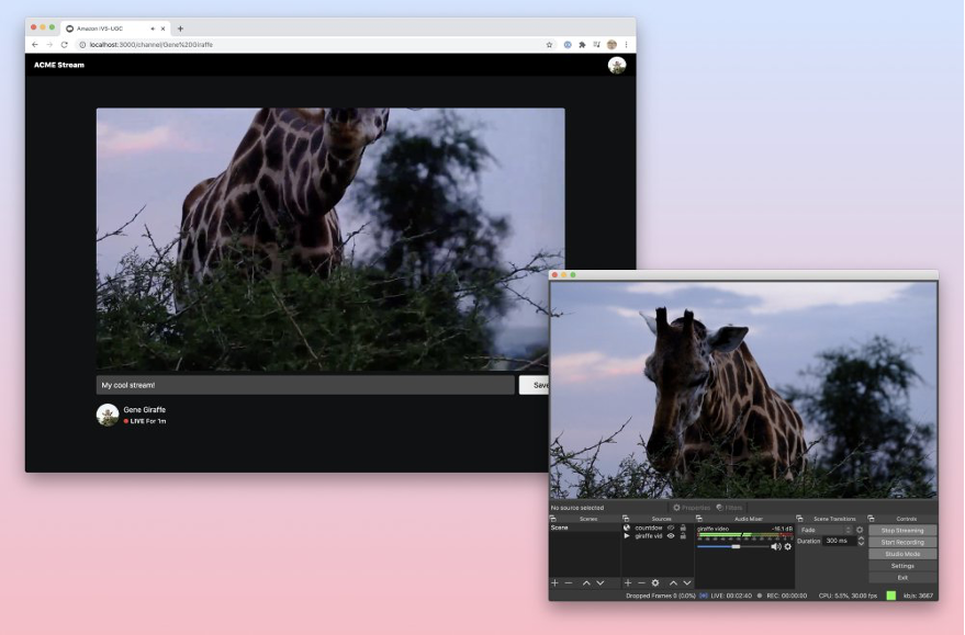 Foreground: OBS window streaming giraffe video. Background: demo app running in browser showing the giraffe video.