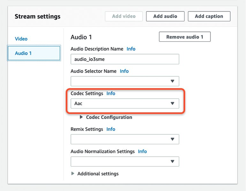 Screenshot of audio tab in stream settings box with codec settings drop down menu in RTMP outputs settings page.