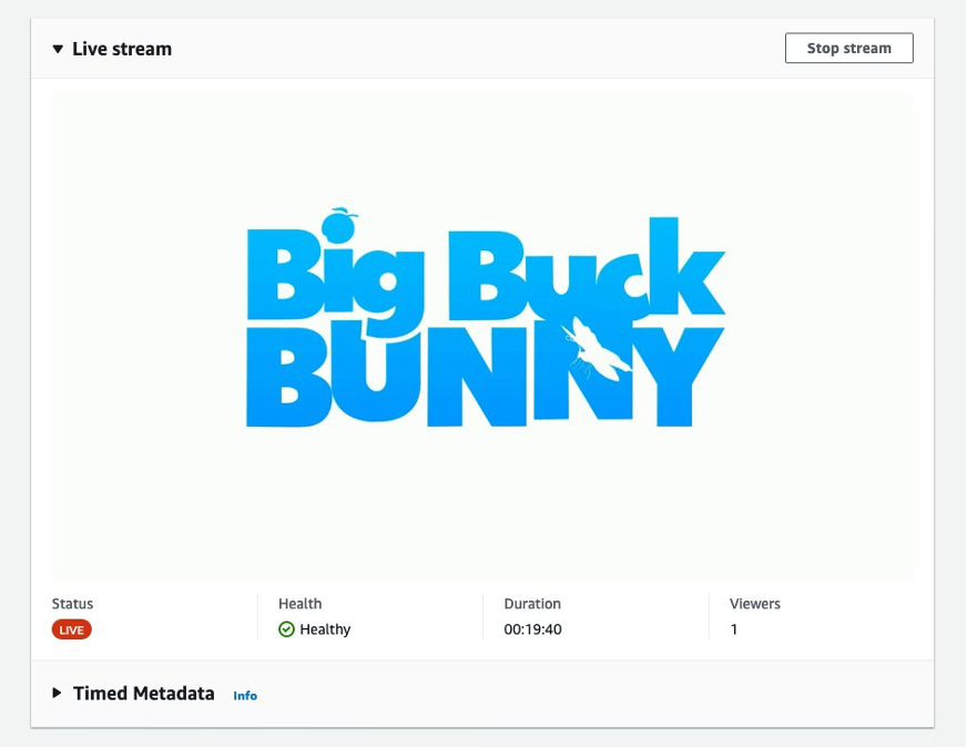 A screen shot of player window in Amazon IVS channel details page showing live streaming video content.