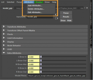 Adding custom attributes