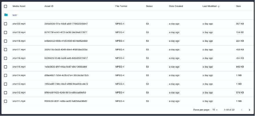 This is the MAPS table view which displays all assets in a table.