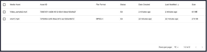 This is the MAPS tables view for an asset that has been uploaded but has not been fully processed yet.