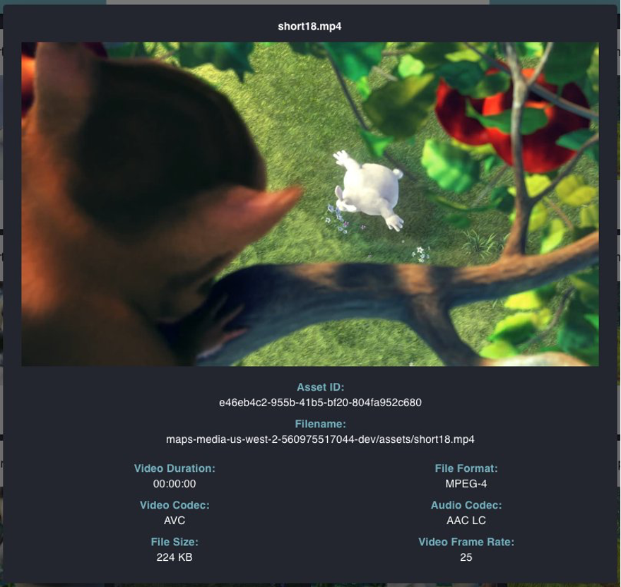 The media proxy view shows the user a media player which can play the asset. The view also shows detailed technical metadata about the asset.
