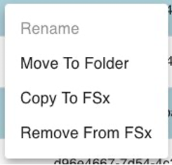 When a user right clicks on any of the selected rows, the options menu appears. The options include Move to folder, Copy to FSx, and Remove from FSx.