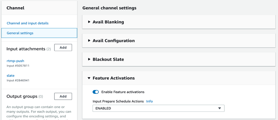 Input Prepare feature activation