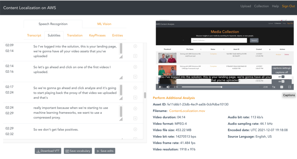 The “Subtitles” section that allows for preview and editing of subtitles. 
