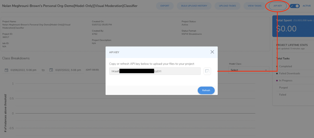 Accessing the API key from a Hive project dashboard
