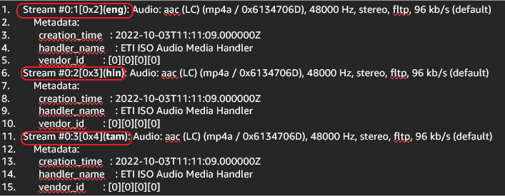 Highlighted Input audio tracks with embedded language codes