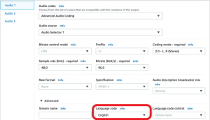 Setting Language code as English for Audio 1