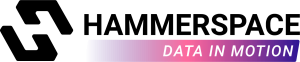 Hammerspace Logo