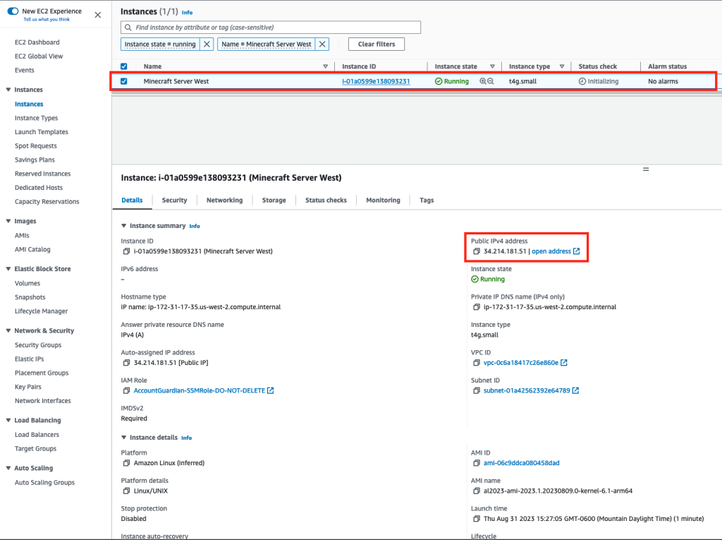 Head to the EC2 instance we created in the EC2 dashboard. Click on the checkbox, and under "Details", copy the public IPv4 address.