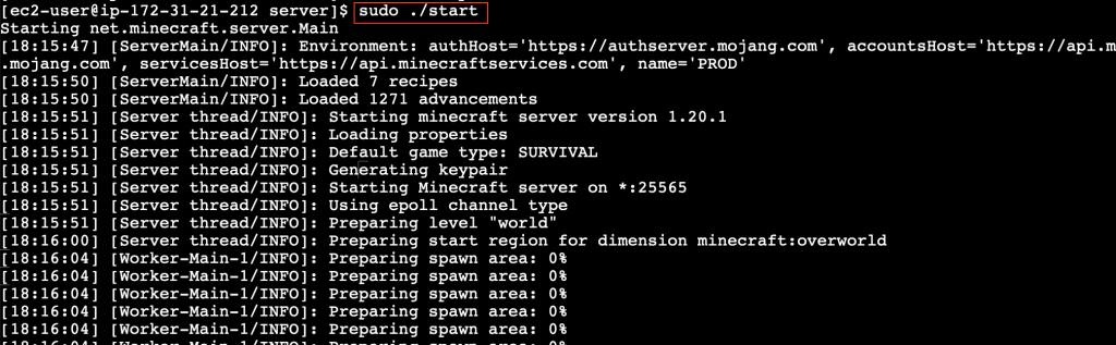 In the EC2 Instance Connect terminal, type in "./start".