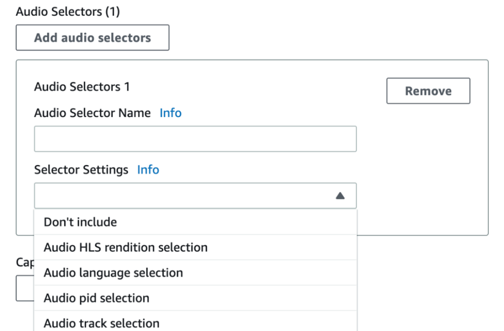 This shows the input section where you can find the audio details fields including Audio Selector, Audio Selector Name and Selector Settings.