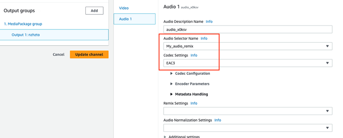 Within the output group settings it shows in the audio stream where you can select the input and the codec.