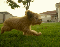 Figure2 - 3x slow motion media