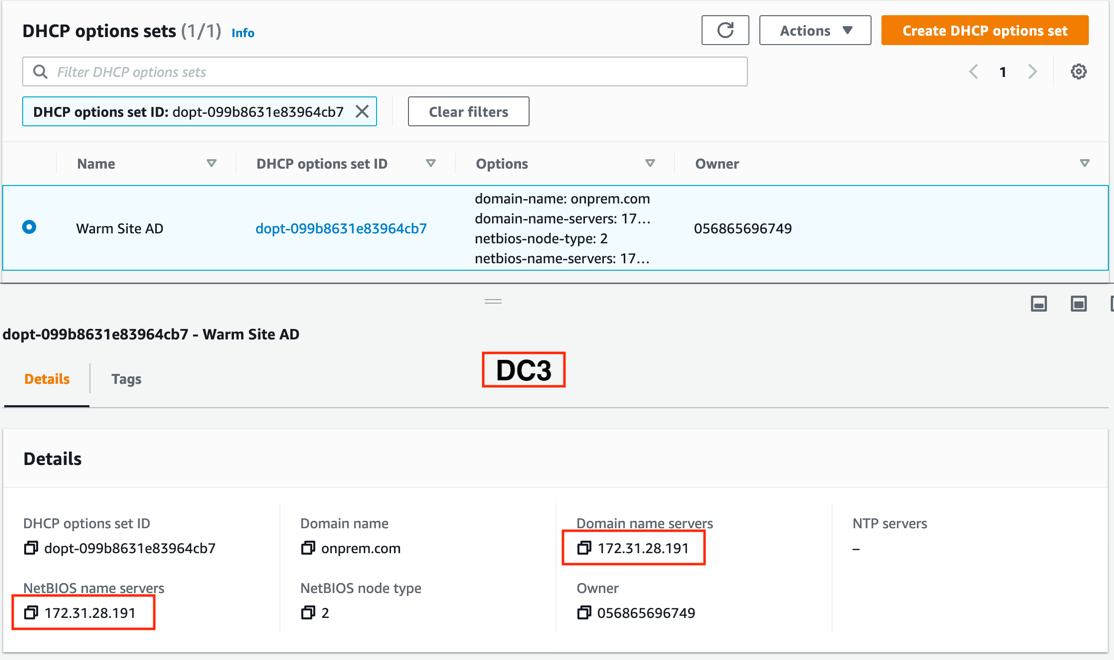 Screenshot of DHCP options
