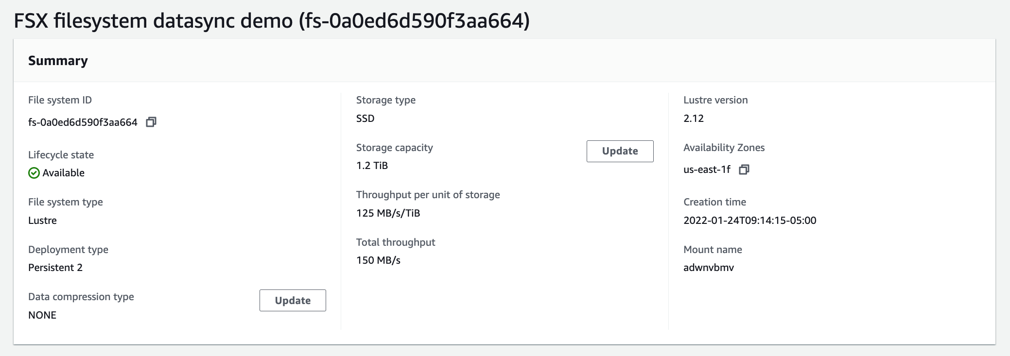 Figure 2. FSx for Lustre target file system