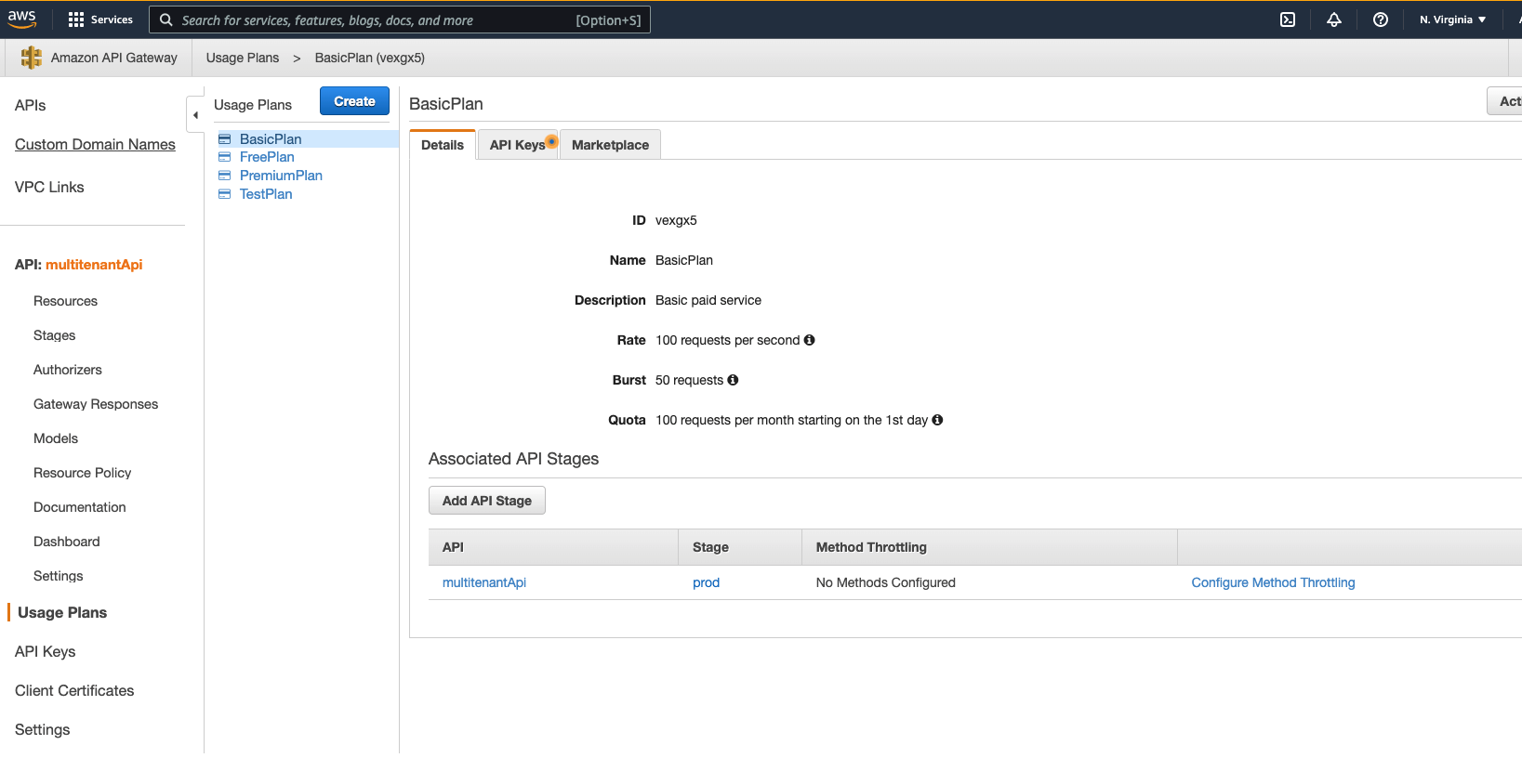 A view of the AWS console when inspecting the ID for the Basic usage plan