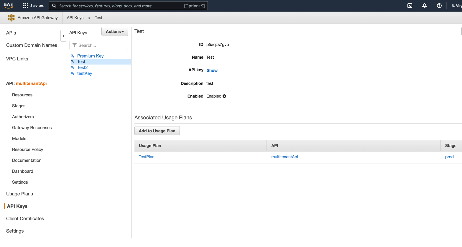 A view of the AWS Console when looking up the API key value (not the ID)