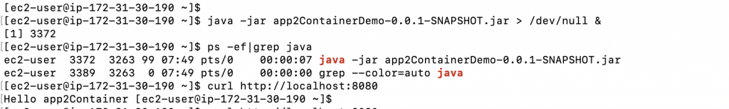 output of Hello app2container