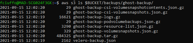 Backup files created by Velero