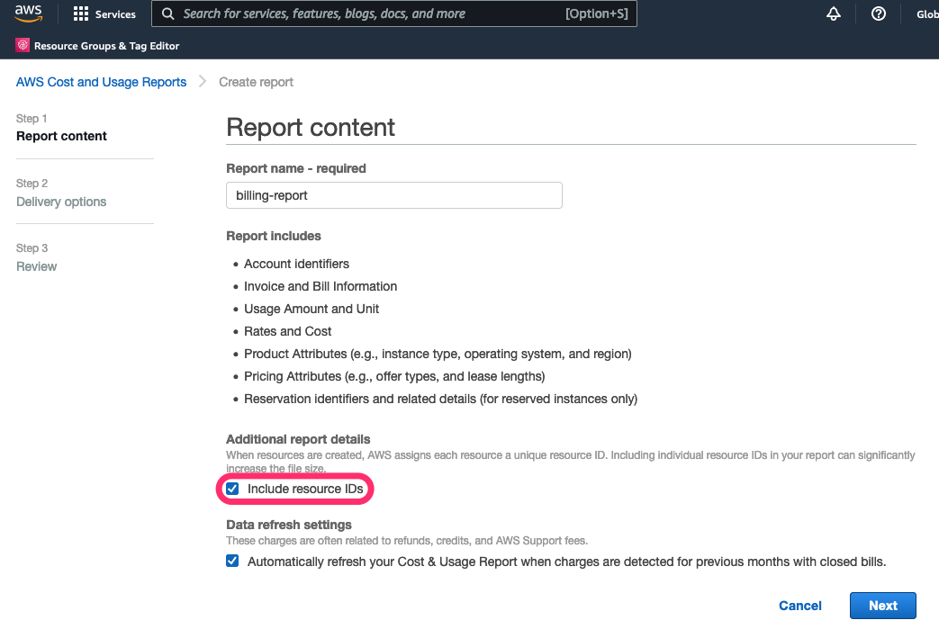 SCreenshot of Report Content with Include resource IDs checked