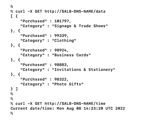 output of invoking the end points of the HTTP web service using a custom Domain Name System (DNS) name