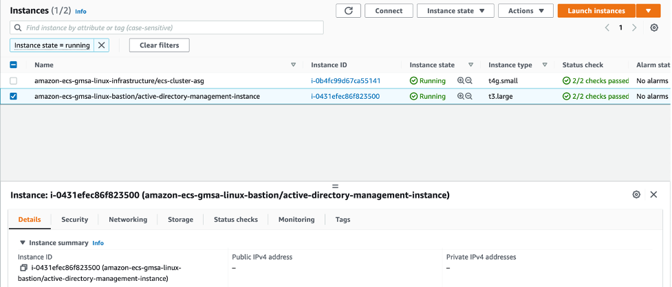 Active Directory Management instance in the AWS Console