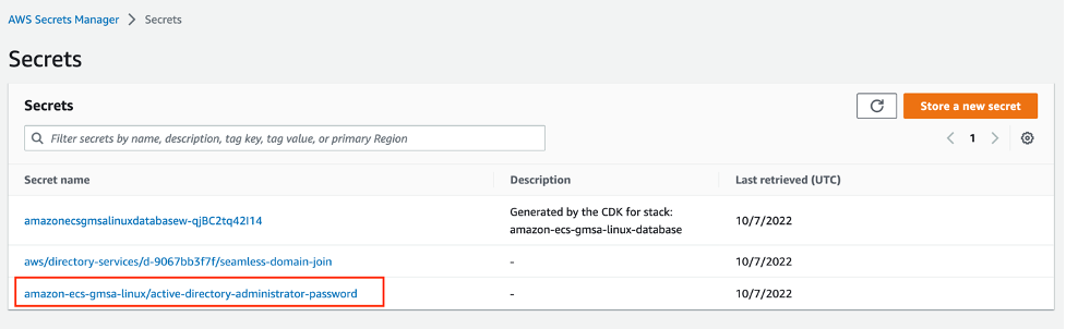 Active Directory Password secret in the AWS Console
