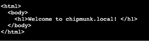 Showing curl output of chipmunk.local domain