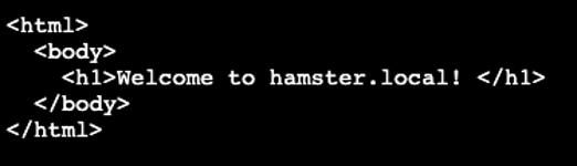 Showing curl output of hamster.local domain