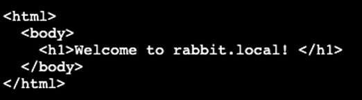 Showing curl output of rabbit.local domain